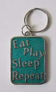 9KD Eat Play Sleep Repeat Engravable DOG CAT PET COLLAR CHARM ganz jewelry