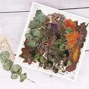 NOGAMOGA 80 PCS Large Vintage Fall Leaf Stickers, Flower and Leaves Stickers Set, Autumn PET Transparent Decorative Flowers and Plant Series Eucalyptus Decals for Scrapbook, Planner, Bullet Journal