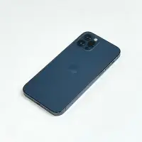 在飛比找Yahoo!奇摩拍賣優惠-【蒐機王】Apple iPhone 12 Pro 256G 