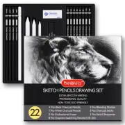 PANDAFLY Drawing Sketching Pencil Set, 22 Piece Pro Art Pencil Kit - Graphite...
