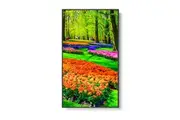 NEC M431 43" 4K Ultra High Definition Commercial Display / 3840x2160 / 500 cd/m2 /24/7 r