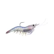 Livetarget Rigged Shrimp Soft Plastic Lure 4in