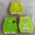 Lot Of 3 Scentsy Wax Bars Sparkling Citrus Pear,Lemon Verbena,Pomelo Fiesta NEW