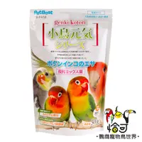 在飛比找蝦皮購物優惠-PetBest 小鳥元氣系列 【長尾鸚鵡專用】- 500g 