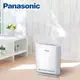 Panasonic國際牌 負離子空氣清淨機 F-P15EA