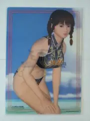 Lei Fang bikini B5 clear file (Dead or Alive Xtreme Famitsu Xbox) plastic folder