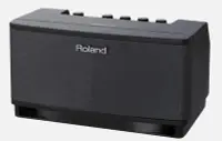 在飛比找Yahoo!奇摩拍賣優惠-『Roland CUBE LITE 桌上型電吉他音箱/擴大音