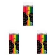 3x 12pc Jasart Studio Sch Artist Art/Craft Colour Pencil Set Non-Toxic Neon