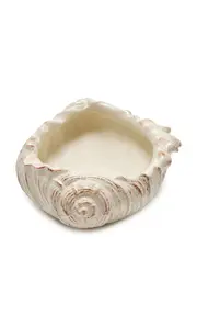 [Moda Domus] Riviera Small Shell Ceramic Centerpiece
