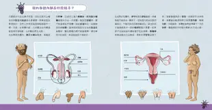 與孩子自在談性套書: 我爸爸有小雞雞+我可以選擇愛上誰嗎+我媽媽有大肚子 (3冊合售)