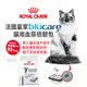Royal Canin 皇家 Blucare 貓用血尿檢驗包 20gX2包