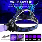 Rechargeable 395nm UV LED Headlamp Headlight Blacklight Head Lamp Zoom Lights