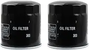 Motorcycle Oil Filter For EN500 VULCAN 500 EX650R NINJA 649 ER6N KLE300 KLZ1000 VN1700 Vulcan Vaquero ABS(2 pcs)