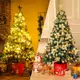 聖誕樹家用1.5米套餐加密1.8套裝diy2022新款大型聖誕裝飾品發光 小山好物嚴選