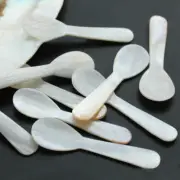 Mini Caviar Server Spoon Mother Of Pearl Spoon Natural Conch Shell Scoop 7.2cm