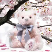 Steiff Teddy bear Japanese Collectors Sakura 18㎝ New From Japan