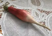 REALISTIC FAKE TURNIP