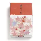 Shoyeido's Kyoto Autumn Leaves Incense 450 sticks Kyo-nishiki # 122405 New Japan