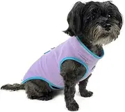 Huskimo Dog Coat Chill Mauve, Purple 33cm – Soft Microfleece Dog Jacket with Subzero Temperature Control Fabric, Dual Zip & Velcro Adjustments, Machine Washable