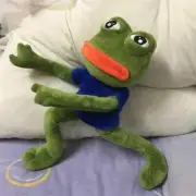 45cm Sad Frog Plush Toy Soft Stuffed Pillow Magic Expression Pepe The Sad