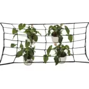 Elastic Trellis Net w/Hooks Plant Support Netting for Grow Tent 4 Sizes