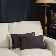 GIGIZAZA Decorative Lumbar Pillow Covers,12x20 Graphite Velvet Cushion Covers,Sofa Couch Pillow Cover Set of 2