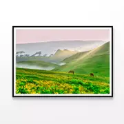 Horses Surrounded By Grasslands Print 100% Australian Made 90x60cm (Poster)