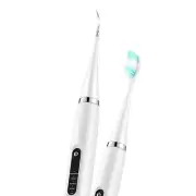 Electric Tooth Dental Calculus Cleaner Tool With Toothbrush Head&ooth Mirror R