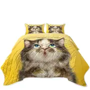 Kittens Cute Drawings Adorable Torbie Cat Coverlet