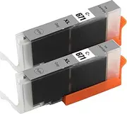 Compatible Canon Gray CLI671XL Ink Cartridges, TAAUS Canon 671XL Gray Ink for PIXMA MG7760 MG7765 MG7766 PIXMA TS5060 TS6060 TS8060 TS9060 Printer (2 Pack)