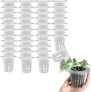 GYWHOOFT Garden Slotted Mesh Net Cups,100 PCS 4.2 cm Height Water Culture Fixed Planting Cups Baskets, Vegetable Soilless Cultivation Tools, Wide Lip Bucket Pot Cups for Hydroponics and Aquaponics