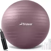 Exercise Ball for Workout - Stability Yoga Ball 65CM Anti-Burst for Home Gym