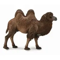 在飛比找樂天市場購物網優惠-【 COLLECTA 】雙峰駱駝