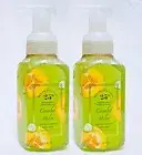 2 Bath & Body Works CUCUMBER MELON Gentle Foaming Hand Soap 8.75 oz