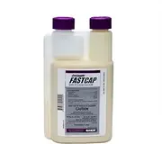 Onslaught Fastcap Spider Scorpion Insecticide Kills Scorpions Spiders Mks 32 Gls
