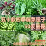 🌱🌱100粒包裝 蔬菜種子 短期 快菜 葉菜 小白菜 空心菜 芫荽 香菜 櫻桃蘿蔔 九層塔 莧菜 萵苣 茼蒿 蔥 菠菜