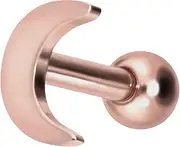 [PIERCINGLINE] Titanium Ear Piercing | Moon | Piercing Jewellery Ear Plug Helix | Choice of Colours