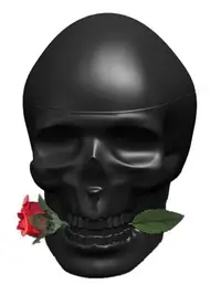 在飛比找樂天市場購物網優惠-美國百分百【全新真品】Ed Hardy Skulls & R