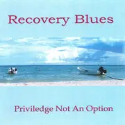 Recovery Blues 3 - Kelly T Kettle & Baird Brittingham CD