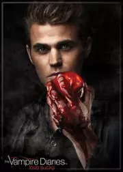 The Vampire Diaries TV Series Stefan with Apple Photo Refrigerator Magnet NEW