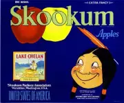 Wenatchee Skookum Chelan Blue Apple Fruit Crate Box Label Art Print