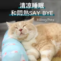 在飛比找PChome24h購物優惠-Ｍamy Pets 萌寵夏日清涼藤蓆涼墊L