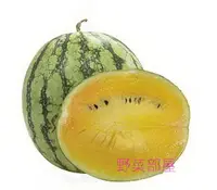 在飛比找Yahoo!奇摩拍賣優惠-【野菜部屋~中包裝】R04 黃小玉西瓜種子70粒 , 新冠 