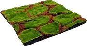 Micro Landscape Fake Moss 50x50cm Simulated Moss Mat Artificial Garden Grass for Room Dec