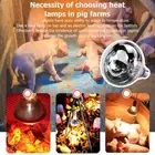 Reptile Lamp Fixture Heat Lamp Insulation E27 Red Light 100-250W❉ N7Q7