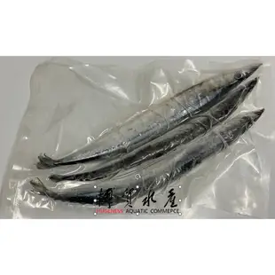 【博貿水產】大隻秋刀魚(330g/包) / 烤秋刀魚(3隻/包) / 活凍海鮮 / 烤肉