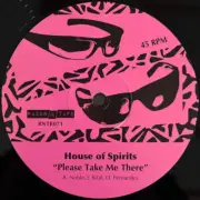 House Of Spirits - Please Take Me There (12")