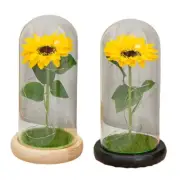 Artificial Led Luminous Soap Flower with Dome Glass Cover