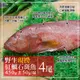 築地一番鮮 海底紅金-峇里島-野生紅鰷石斑魚4條(450g±50g/條)