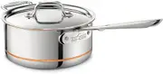 All-Clad 6203 SS Copper Core 5-Ply Bonded Dishwasher Safe Saucepan with Lid/Cookware, 3-Quart, Silver